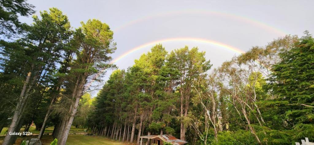 Carinya Village Jindabyne Bagian luar foto