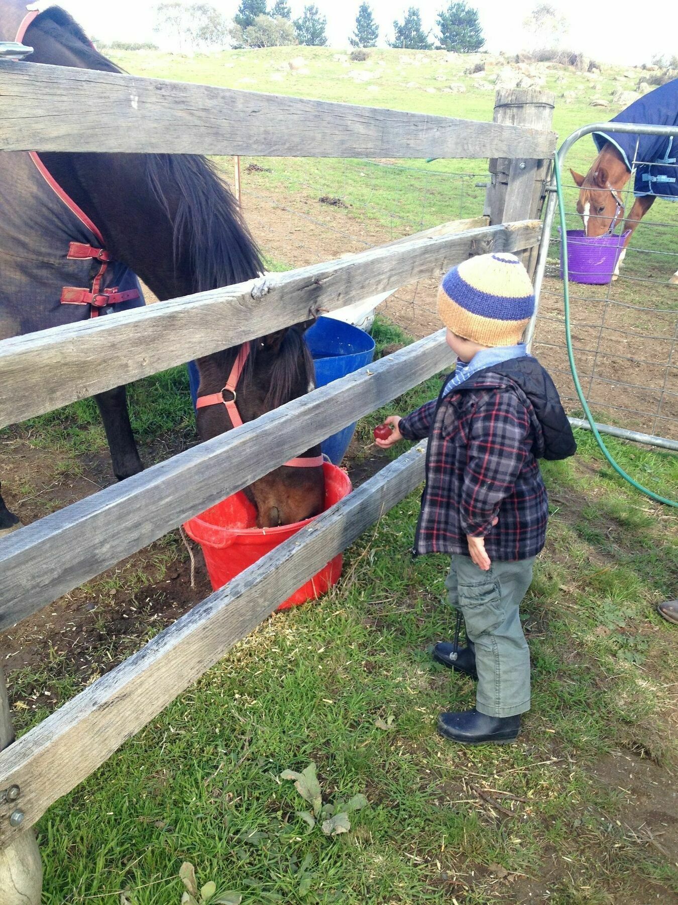 Carinya Village Jindabyne Bagian luar foto