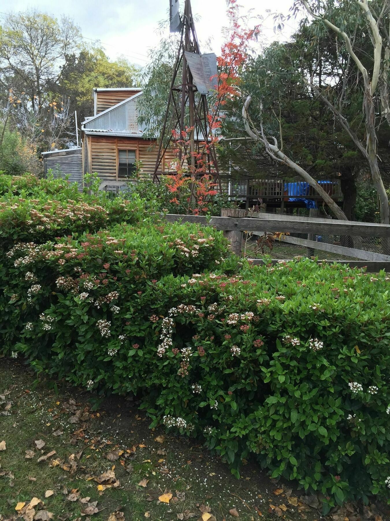 Carinya Village Jindabyne Bagian luar foto